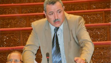 البكوري يدعو لدعم الحرفيين والصناع التقليديين وتشجيع المستثمرين على ولوج هذا القطاع